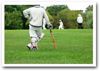 Cricket